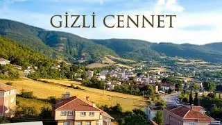 Ormanlar dağlar ortasinda bir  kasaba samsun bafra kolay .ovaydi simdi göl olan bir kasaba
