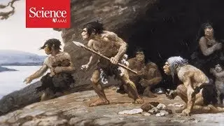 Neanderthals used their hands like tailors and painters