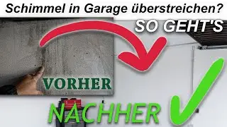 Schimmel in Garage &uuml;berstreichen? Schimmelbek&auml;mpfung mit dem BKM Bio Schimmelschutz