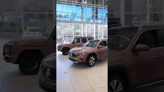 MANUFAKTUR Rosewood Grey Magno G 550 or Rose Gold EQB?