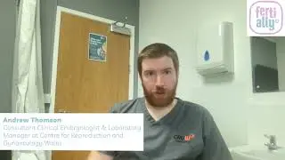 How successful is TESE procedure?