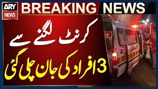 Electric shock claims three lives in Sargodha