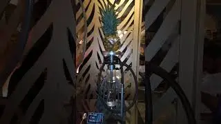 Modern style shisha #shorts #shisha #smoker #modern #stylish #ytshorts #closeup #neon #nightlife