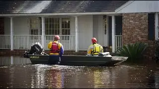 South Carolina Flood Cat Rescue