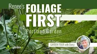 Renee's Foliage-First Portland Garden (Zone 8b)