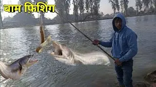 baam/॥ fish। kese. pakde// Nahar//me kiya. shikar#baam #fishing #baamfish #fish #machhri
