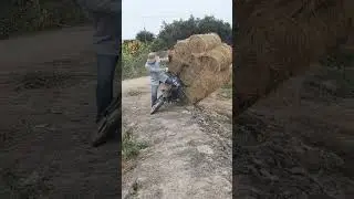 #shortvideo