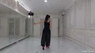 搀扶 Chan Fu Remix- Line Dance-Demo.