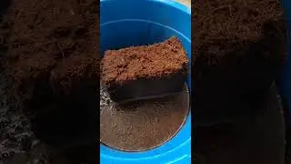 Готовим кокосовый субстрат#основа для грунта