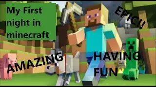 Trying to survive my first night in minecraft