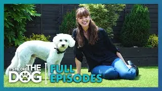Teddy: Struggling With Separation | Season 1 Episode 3 | It's Me or the Dog UK (2021)