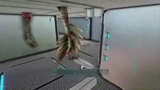 Ark MAZE EVENT- ARKFUN CLUSTER