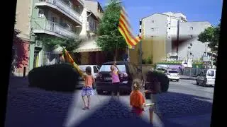 arbucies riallera Vila