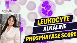 LEUKOCYTE ALKALINE PHOSPHATASE SCORE | BY DR. ADITI KUMAR