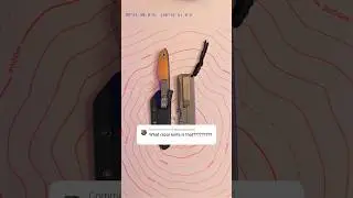 What is that??? 😱