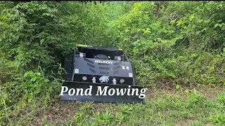 Wildcat X4 BUSH HOG MOWER (Pond Mowing Demonstration)