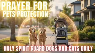 Prayer for Pets Protection | Holy Spirit Guard Dogs and Cats Daily | His Ever-Present