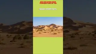 Sahara Desert is So Hot, You Can Cook Eggs #cooking #egg #facts