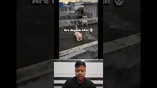 Nice Jump🤣🤣|Sagar Rana Reaction|#sagarrana #reaction #funny #funnydogs
