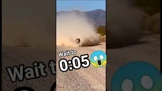 0:05😱Wolf vs Fly &mdash; Only Allah controls all things 🤲  video 👍#funnyanimals #shorts