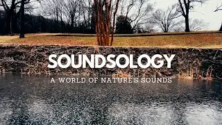 Autumn Park Rain Sound - 4 Hours of Relaxing Sound For Sleep, Study, Meditation