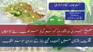 Farmer's Weather Forecast in Pakistan | 25 August 2025 | PMD Agriculture Advisory
