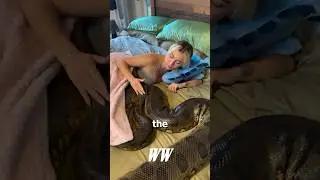 Anaconda vs Python &ndash; Battle of the Giant Snakes