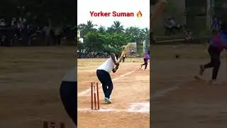 Yorker Suman 🔥🔥🔥 #shorts #cricket