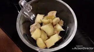 كيف أحافظ على صحة طيوري على مدار العام بعشبتين فقط...!!!