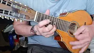 14 String Bandilla