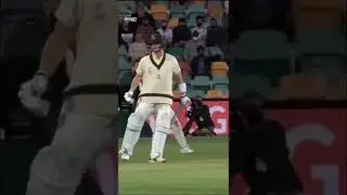 Steve Smith At His Idiosyncratic Best 😂