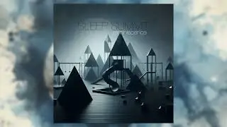 Sleep Summit - reminiscence