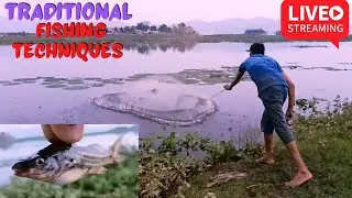 Traditional Fishing Techniques | Net Fishing in Deepor Beel| Traditional Boy's Catching Fishes