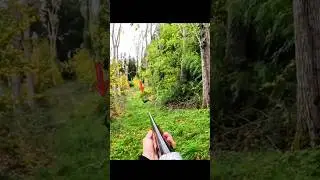🦌 Момент истины &ndash; Охота на диких оленей#DeerHunting#hunting ##DeerShot#DeerSeason#chasse