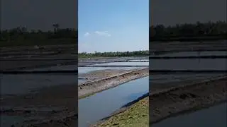 লবন চাষ 🥰 #entertainment #information #production #salt #foryou