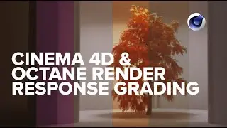 Why Pro Artists Love These Cinema 4D Workflows