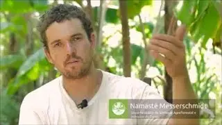 Curso de Agrofloresta no Assentamento Mário Lago