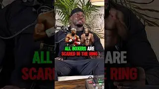 BOXERS ARE SCARED 😭😱