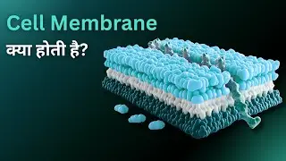 Cell Membrane kya hoti hai? | Structure & Function | Biology in Hindi