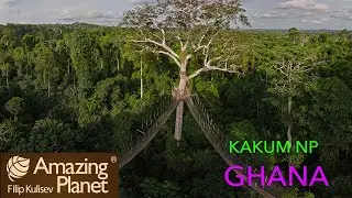 Kakum National Park, Ghana: Amazing Planet (4K) 2024