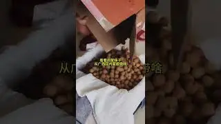 A Guangxi girl who married and settled in Inner Mongolia Autonomous Region posted a video online