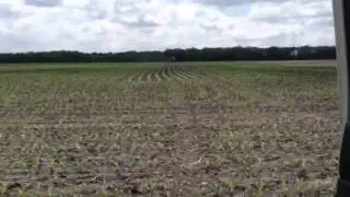 Dougup Farms