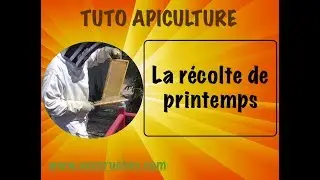 TUTO apiculture, la r&eacute;colte de printemps. www.avosruches.com