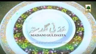 Namaz Me Imama Aur Libas Ke Ahkam - Madani Guldasta 329 - Maulana Ilyas Qadri
