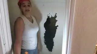 What We Found In the Walls of our KB Home