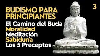 ☸️ Budismo para Principiantes | El Camino del Buda | Moralidad, Meditación,  Sabiduría y 5 Preceptos