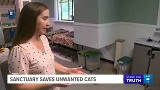 Purrfect Pals on KING5 July 2023