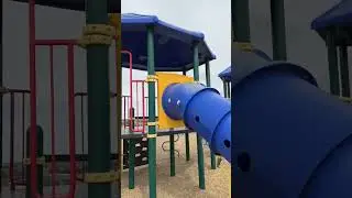 POV: Any Kid at a Playground #park #playground #energy #puppy