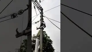 tikina lojiya 🤣🤣#shorts #short #shortsvideo #shortvideo #shortfeed #shortsfeed #funny #funnyvideo