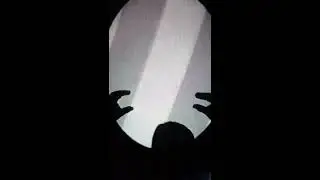 فن ظلال